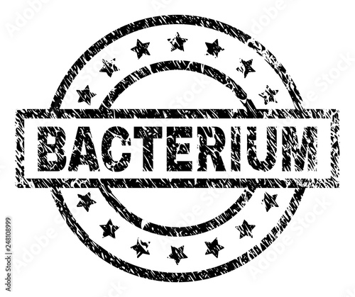 BACTERIUM stamp seal watermark with distress style. Designed with rectangle, circles and stars. Black vector rubber print of BACTERIUM caption with grunge texture.
