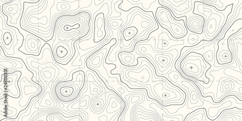 Geographic topographic map grid. Topography map background. Vector banner.