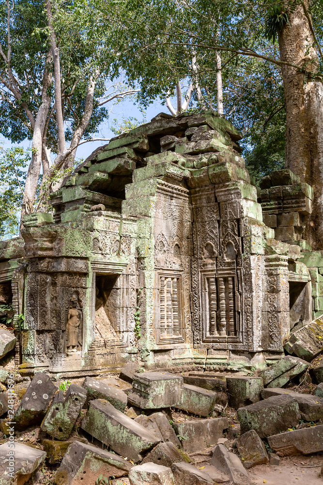 ancient remains of Ta Prohm temple, Siem Reap, Cambodia, Asia