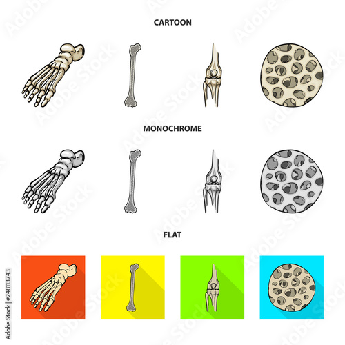 Vector design of medicine and clinic icon. Collection of medicine and medical stock vector illustration.