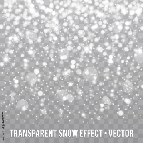 Vector white Glitter particles Effect on transparent Background Eps10.