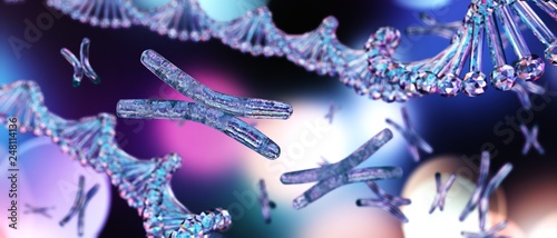 Chromosome, genome, DNA helix, RNA photo
