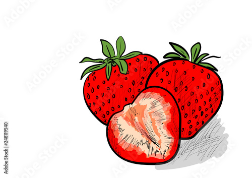 strawberry, food, berry, fruit, fresh, ripe, organic, sweet, tasty, juicy, red, dessert, leaf, green, delicious, natural, raw, half, slice, vector, illustration, vegetarian, health, nature, group, par