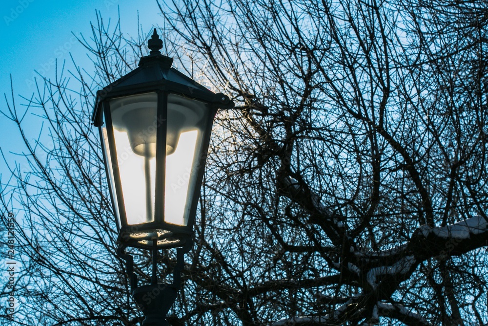Historical street lamp made of metal on a cold sunny winter day, trees and branches in background, blue sky, european city