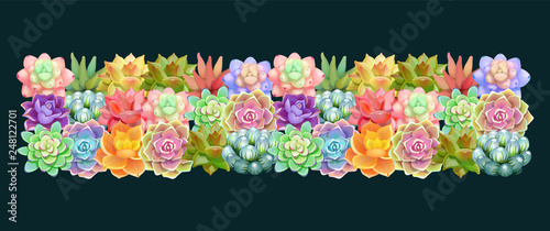 Beautiful horizontal tape of succulents flowers.Elegant vector floral collection. Can be used for greeting card or wedding invitation, natural cosmetics, health care, yoga center and other design
