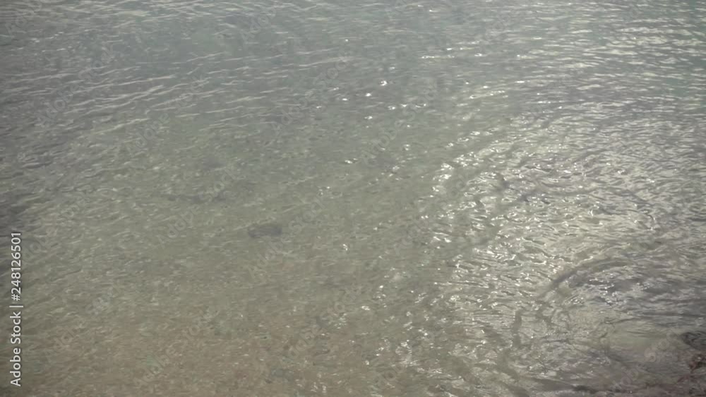 Transparent water of the sea of Ibiza Transparent water of the sea of Ibiza