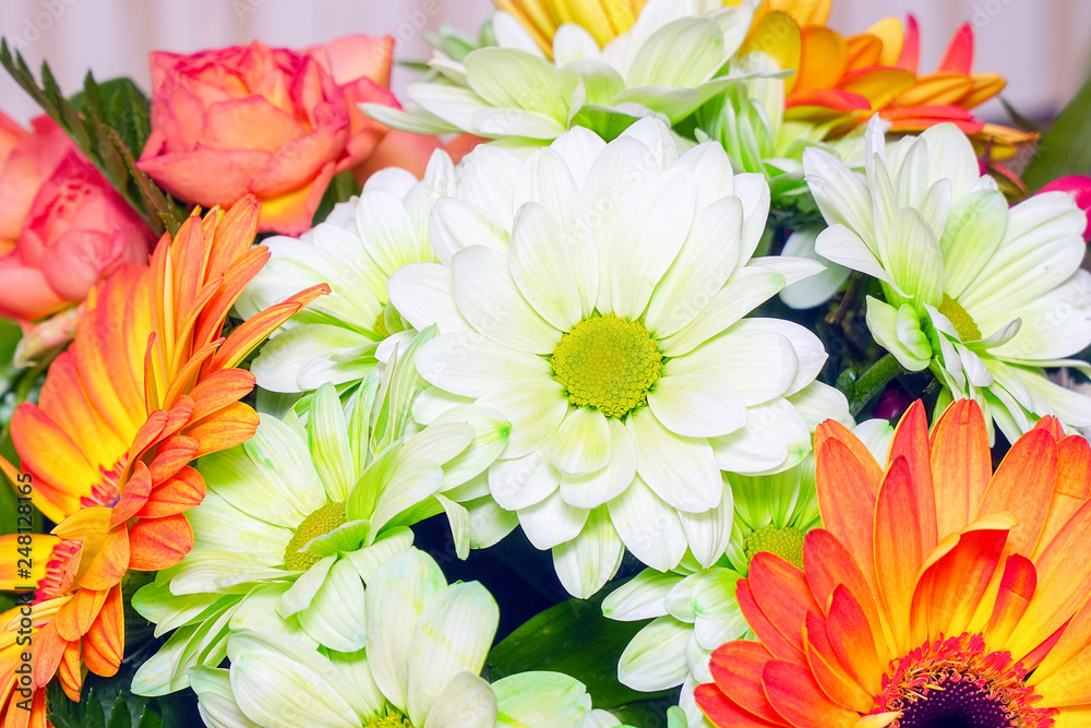 Obraz premium Bouquet of white and orange gerberas