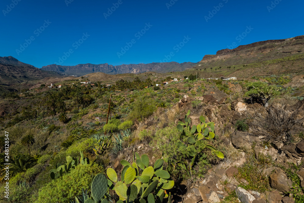 Canary islands gran canaria sunny day Canary islands gran canaria sunny day