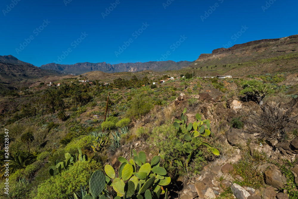 Canary islands gran canaria sunny day