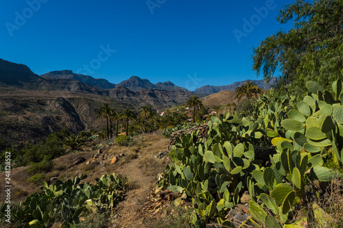 Canary islands gran canaria sunny day