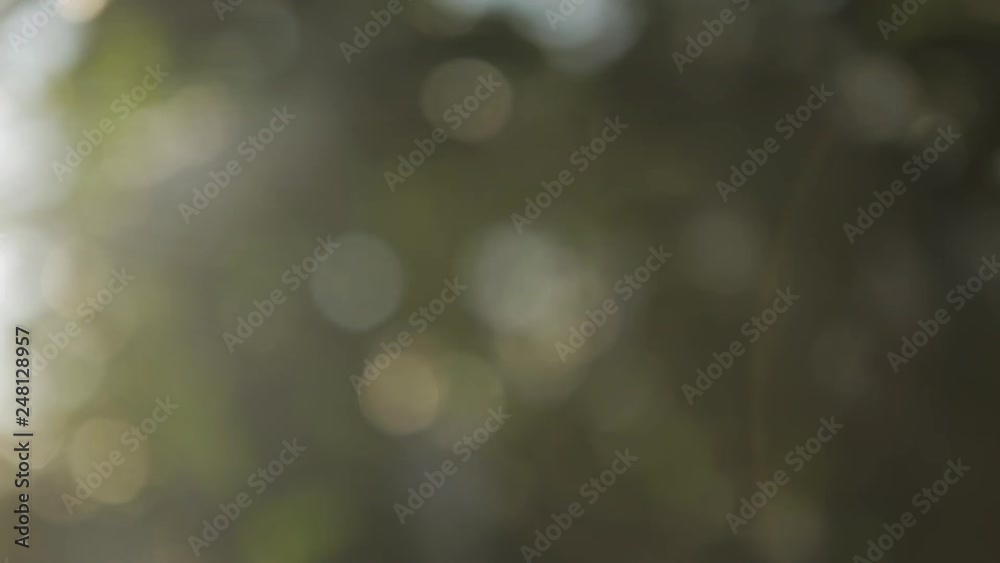 Spring season. Snow and drops of water against defocused background with bokeh effect at a sunny evening with nice light reflections Spring season. Snow and drops of water against defocused background with bokeh effect at a sunny evening with nice light reflections