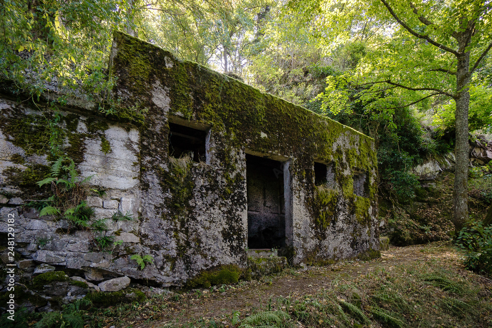 Alsace Mountain vogesen world war one memorial ruins Alsace Mountain vogesen world war one memorial ruins