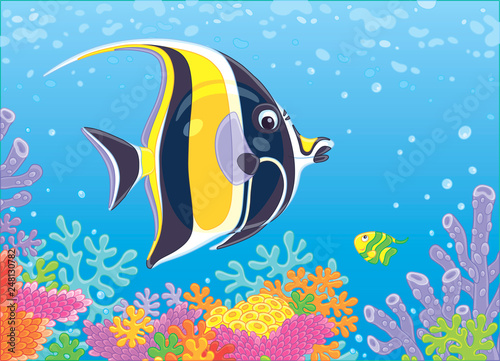 Funny butterfly fish swimming in blue water over amazing colorful corals on a reef in a tropical sea, vector illustration in cartoon style