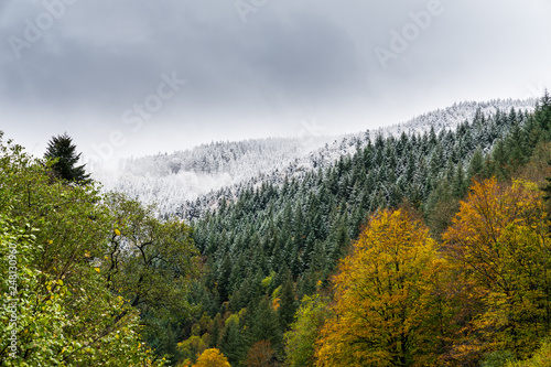 Germany  Magic black forest nature landscape in the beginning of winter