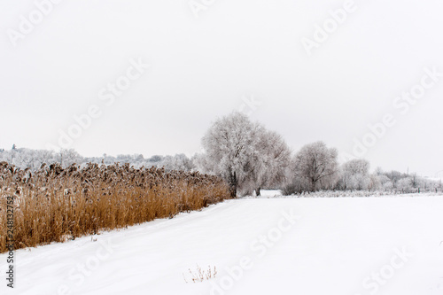 Winter weather. White snow covered the ground. copy space