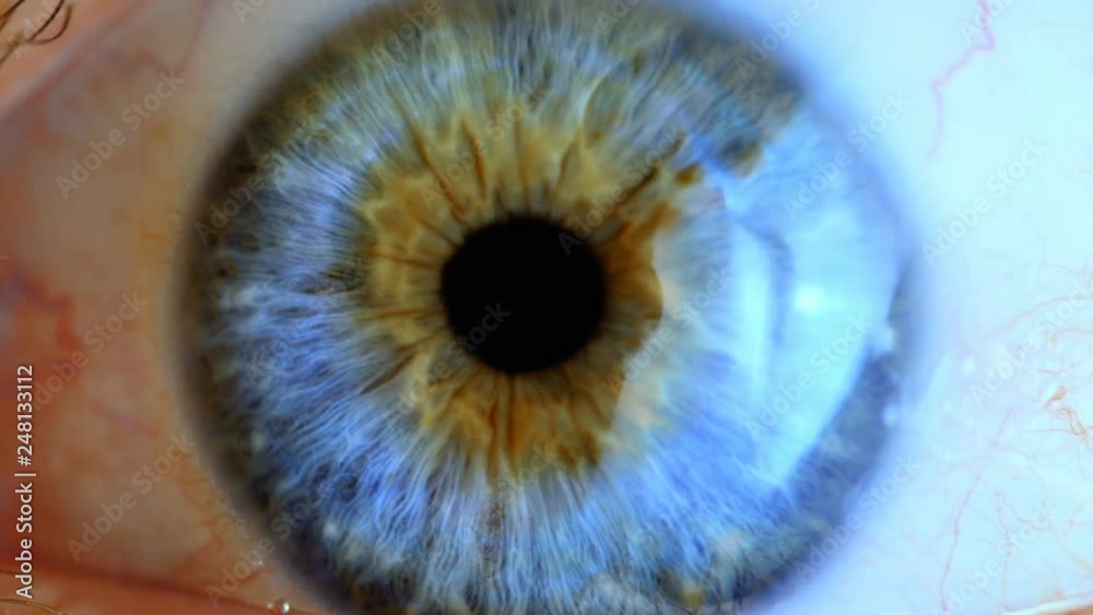 Human eye iris contracting. Extreme close up.