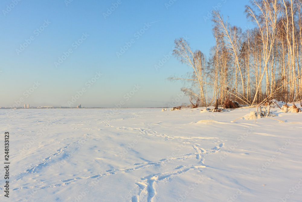 Island on a snowy  Ob Reservoir, Novosibirsk, Russia