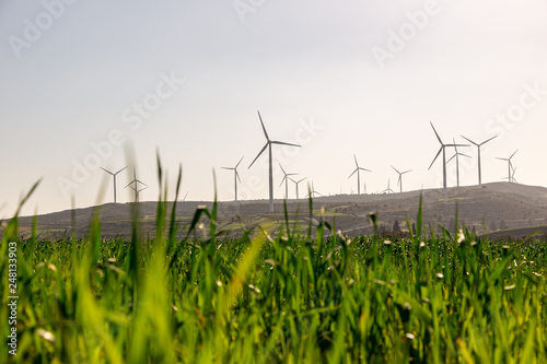 windmill fields through green grass