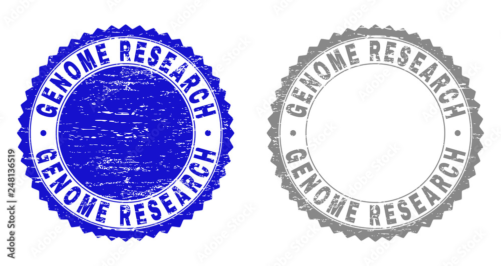 Grunge GENOME RESEARCH stamp seals isolated on a white background. Rosette seals with distress texture in blue and gray colors.