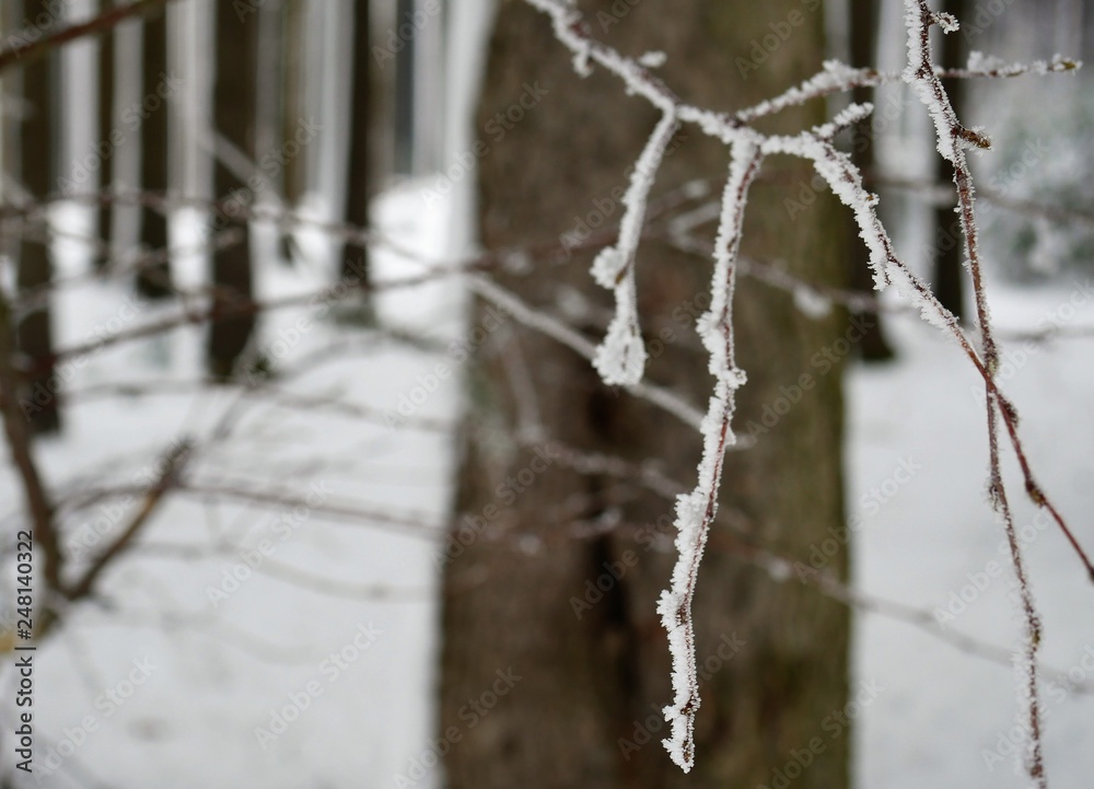 Mädchen mit Schneemann Mädchen mit Schneemann
