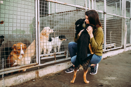 Young woman choosing which dog to adopt from a shelter. photo