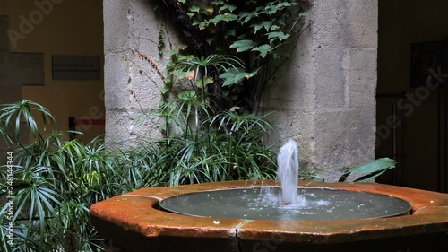 Architecture builder interior waterfall fountain indoor nature. Small interior fountain with transparent water. Beautiful scenic view with greenery and plants. Calm quiet mood and vivid natural colors