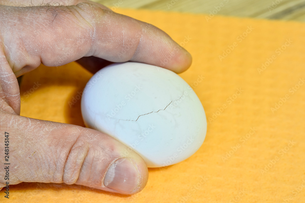 Chicken white egg with micro cracks in the shell. Chicken white egg with micro cracks in the shell.