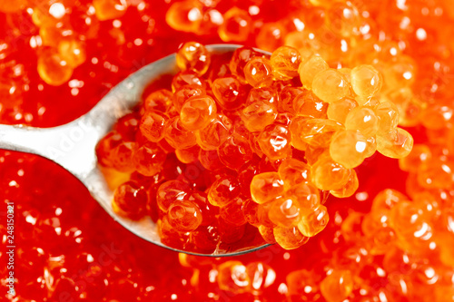 Red caviar on the spoon as a background