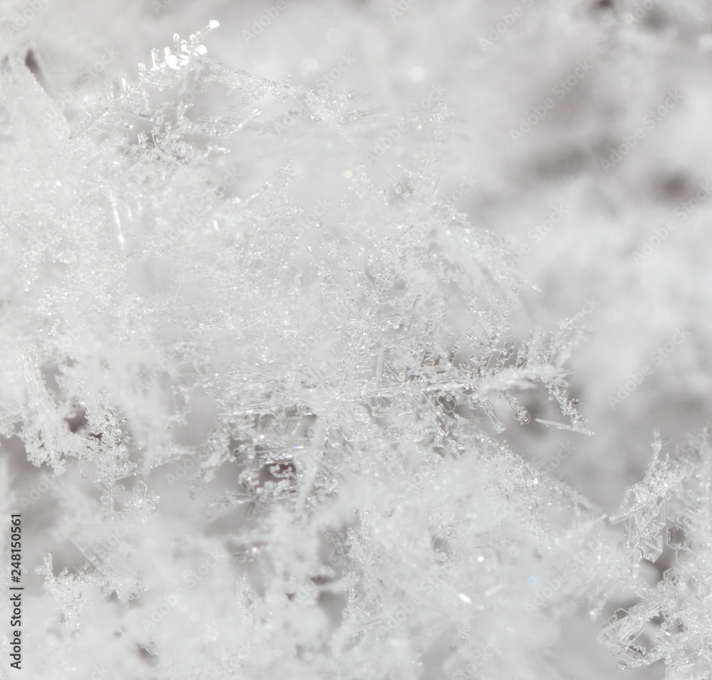 White snowflakes on nature as a background White snowflakes on nature as a background