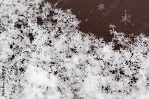 White snowflakes on nature as a background