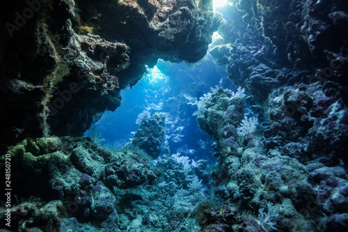 Fototapeta Naklejka Na Ścianę i Meble -  Caves of Claudia Reef at the Red Sea, Egypt
