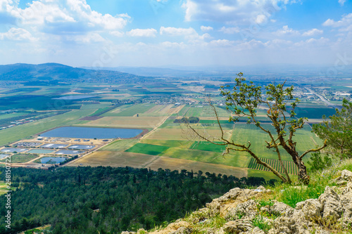 Jezreel Valley landscape, viewed from Mount Precipice