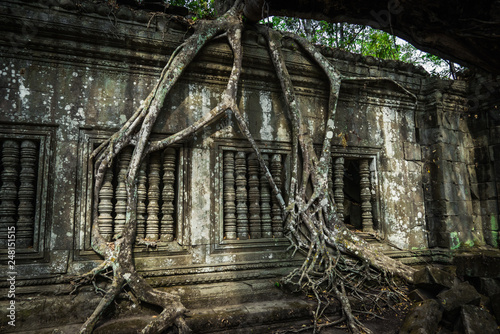 Fototapeta Naklejka Na Ścianę i Meble -  Beng Mealea ruins over grown