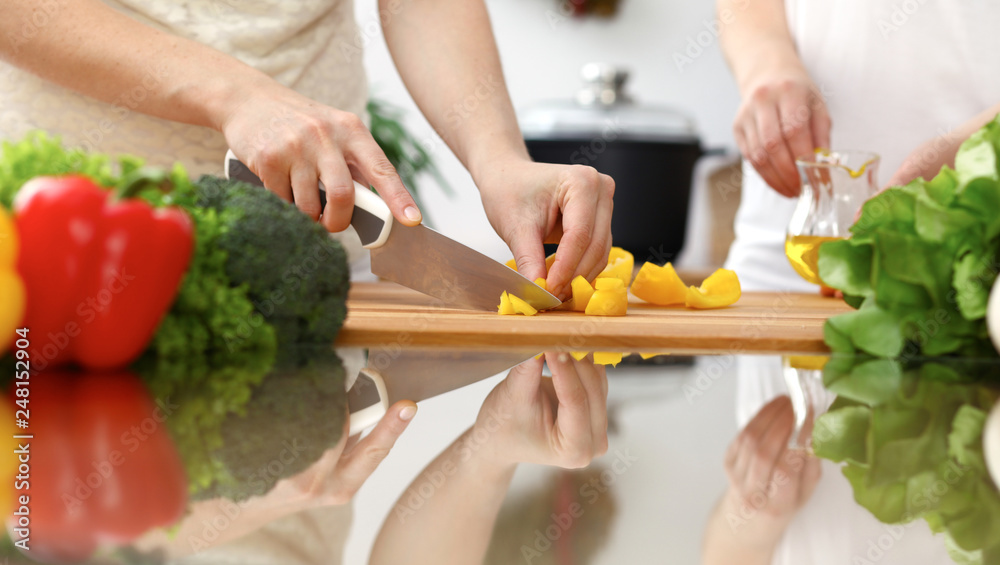 Closeup of human hands cooking in kitchen. Mother and daughter or two female friends cutting vegetables for fresh salad. Friendship, family dinner and lifestyle concepts