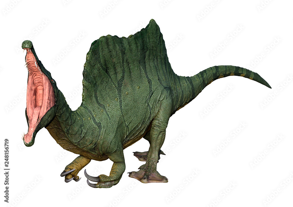 Fototapeta premium 3D Rendering Dinosaur Spinosaurus on White