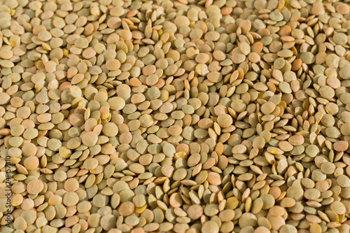 green lentils, natural lentil background, healthy food