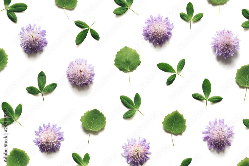 Naklejka premium Purple Meadow Flowers And Green Leaves On White Background