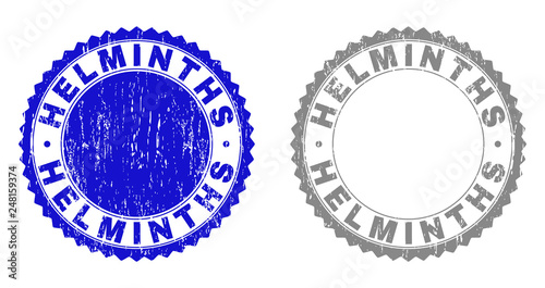 Grunge HELMINTHS stamp seals isolated on a white background. Rosette seals with grunge texture in blue and gray colors. Vector rubber stamp imprint of HELMINTHS text inside round rosette.