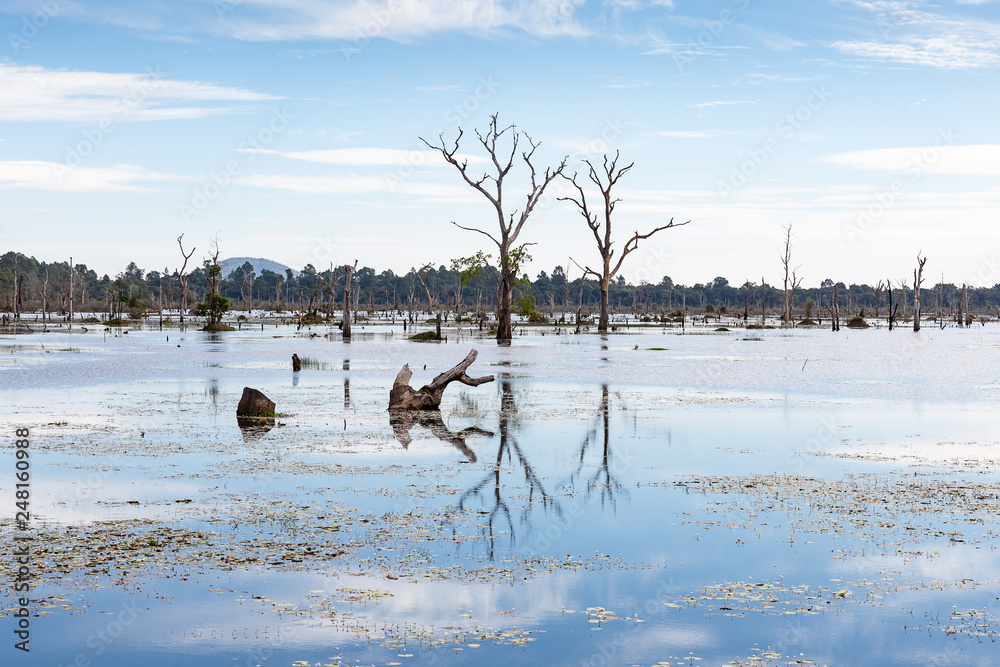 Fototapeta premium baray at the Neak Pean temple, Siem Reap, Cambodia, Asia