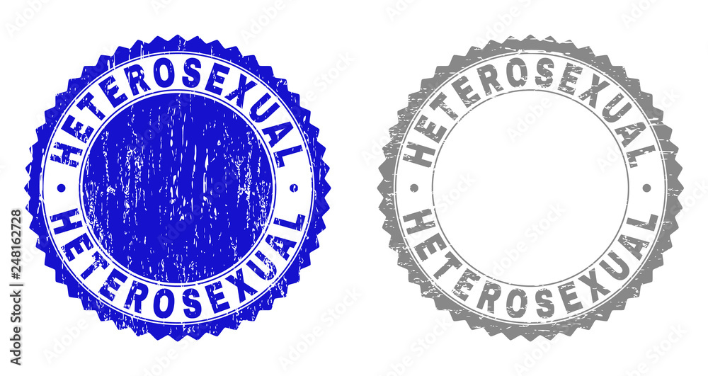 Grunge HETEROSEXUAL stamp seals isolated on a white background. Rosette seals with grunge texture in blue and gray colors. Vector rubber stamp imitation of HETEROSEXUAL title inside round rosette. Grunge HETEROSEXUAL stamp seals isolated on a white background. Rosette seals with grunge texture in blue and gray colors. Vector rubber stamp imitation of HETEROSEXUAL title inside round rosette.