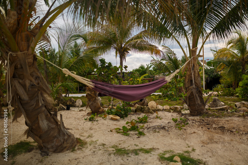 chill tropical island andrelacsation on hammock © Bogdan