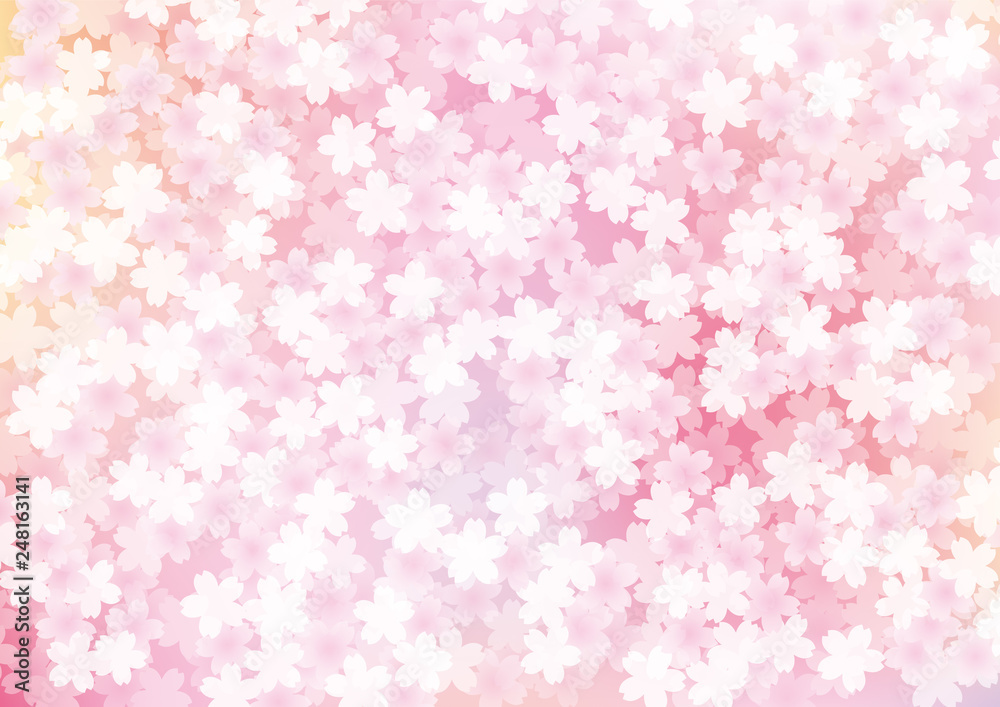桜　花　和風　満開　背景　グラデーション　ピンク