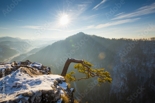Fototapeta Naklejka Na Ścianę i Meble -  Pieniny mountains in Poland