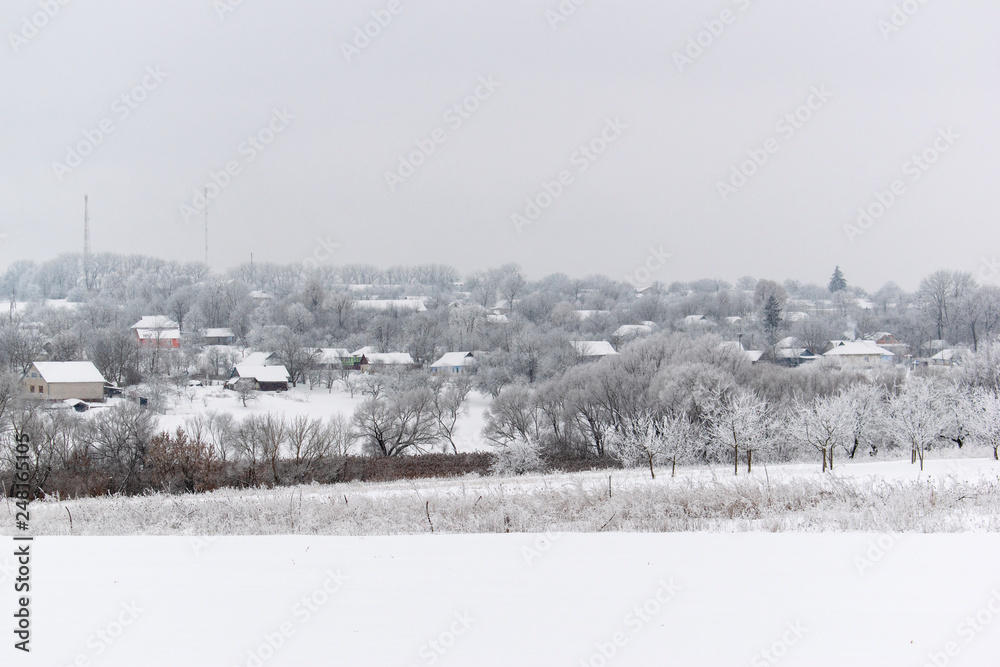 Fototapeta premium Winter snow trees, New Year's mood. copy space.