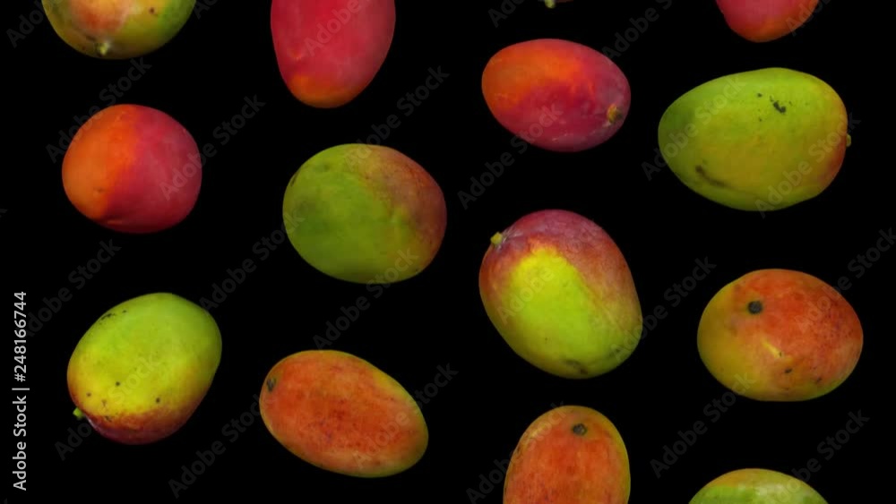 Realistic render of falling sindhoora mangoes on black background. The video is seamlessly looping, and the objects are 3D scanned from real mangoes.
