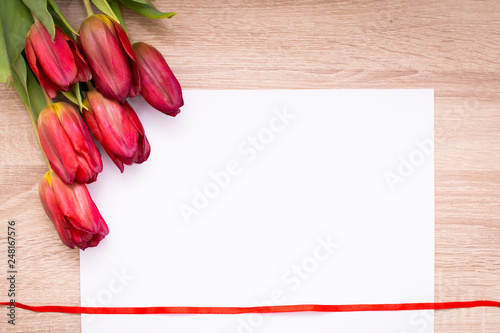 Fototapeta Naklejka Na Ścianę i Meble -   Tulips on a white background with red ribbon, spring