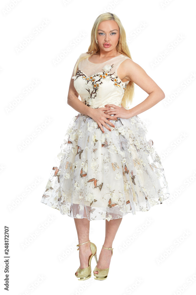 Portrait of beautiful woman in dress posing isolated
