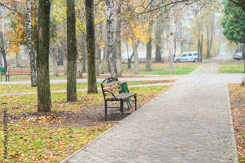 Autumn, city park. Trees with yellow leaves and a wooden bench, for recreation.