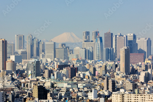 Shinjuku Skyline with Mt Fuji