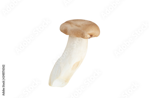 King Oyster Mushroom on white background.